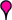 fuscia